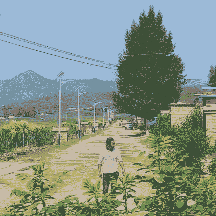 新農村太陽能路燈照明建設 北京太陽能路燈廠