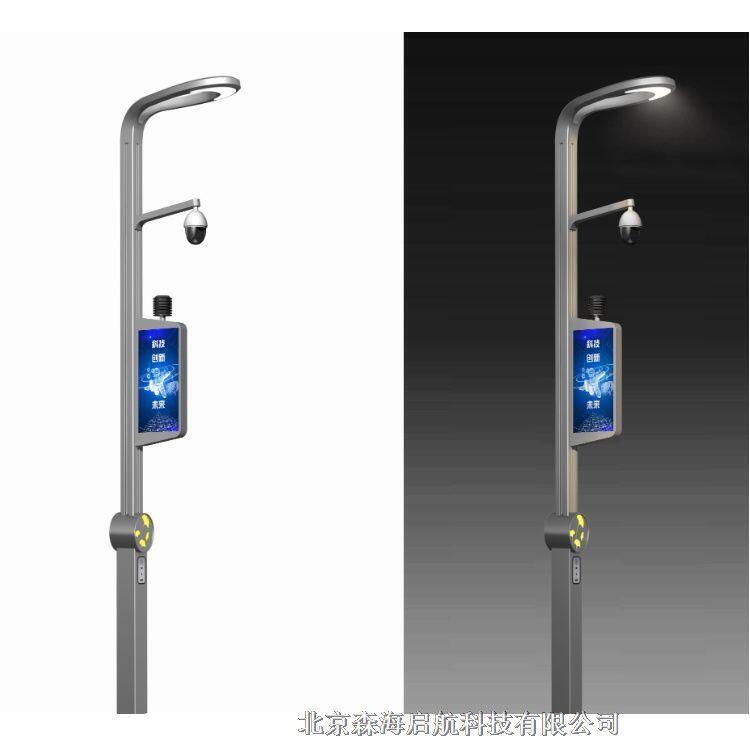 智慧路燈 長(zhǎng)期供應(yīng)智慧路燈工廠直銷